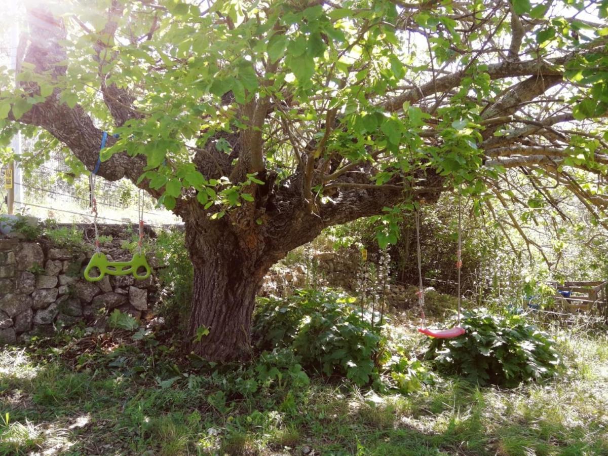 Bastide Provencale Les Muriers D'Engaspaty Seillans Exterior photo
